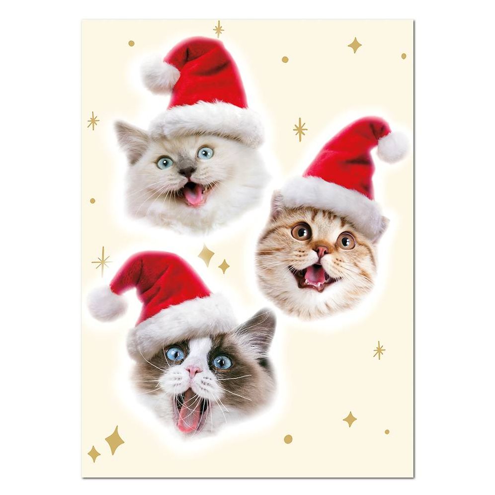 Merry Catmas Holiday Card