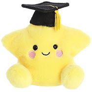 Magna Graduation Star 5" Palm Pals