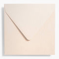 Blue Edge Thank You Card Set