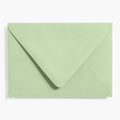 Eucalyptus 4 Bar Envelopes