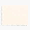 Scallop A2 Luxe Cream Cards