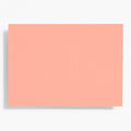 A6 Coral Note Cards
