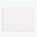 Scallop A2 Eco White Cards