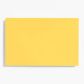 Curry A9 Note Cards