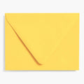 Curry A2 Envelopes
