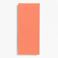 #10 Papaya Note Cards