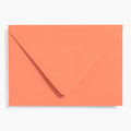 4 Bar Papaya Envelopes