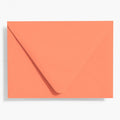 A6 Papaya Envelopes