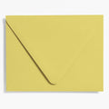 Chartreuse Presentation Envelopes