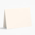 Superfine Soft White Place Cards