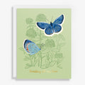 Butterfly Love Sympathy Card