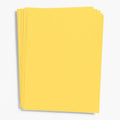 Curry Card Stock 26" x 20"