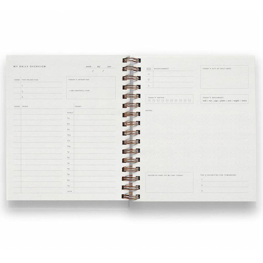 Dusty Rose Daily Overview Planner