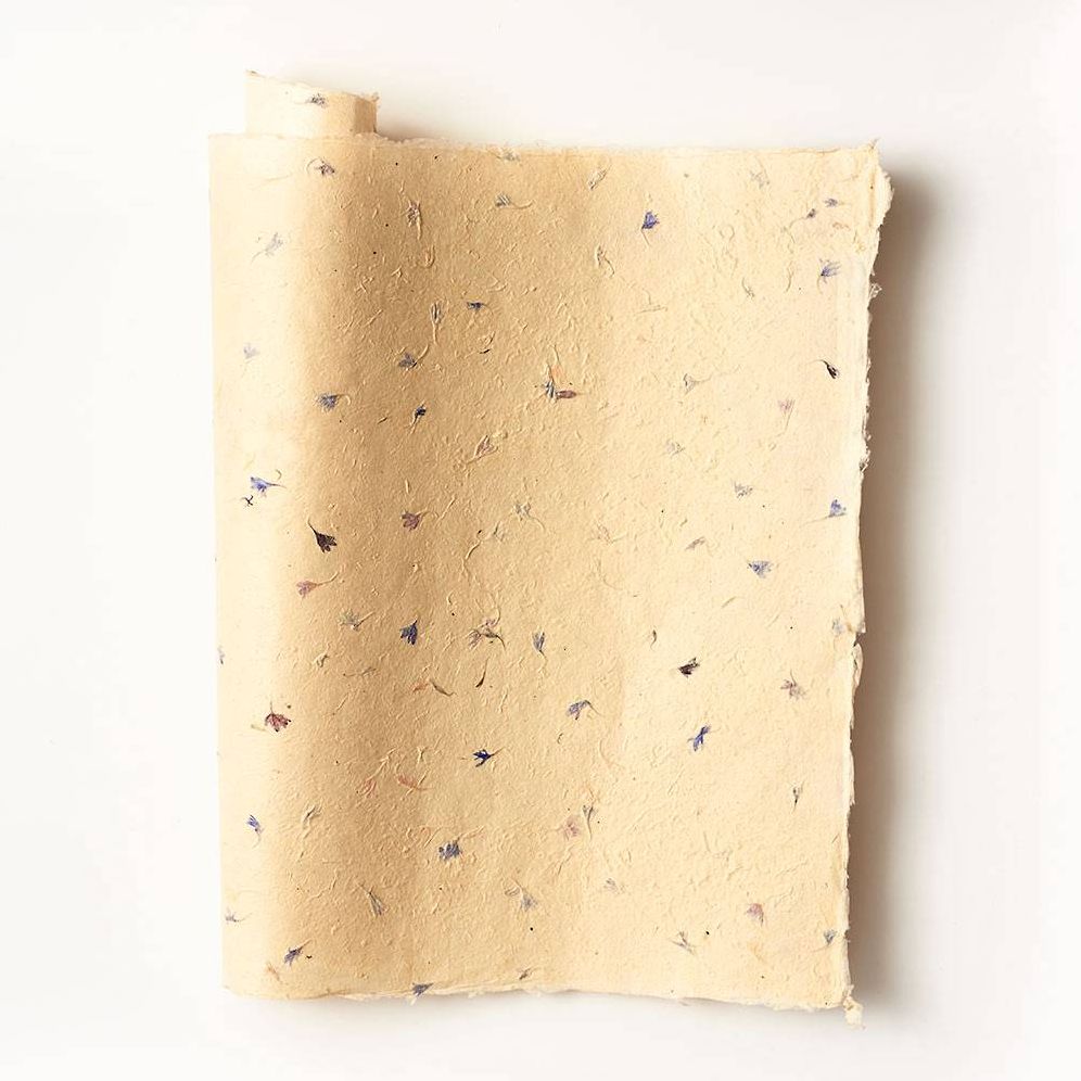 Pressed Blue Petal Handmade Paper