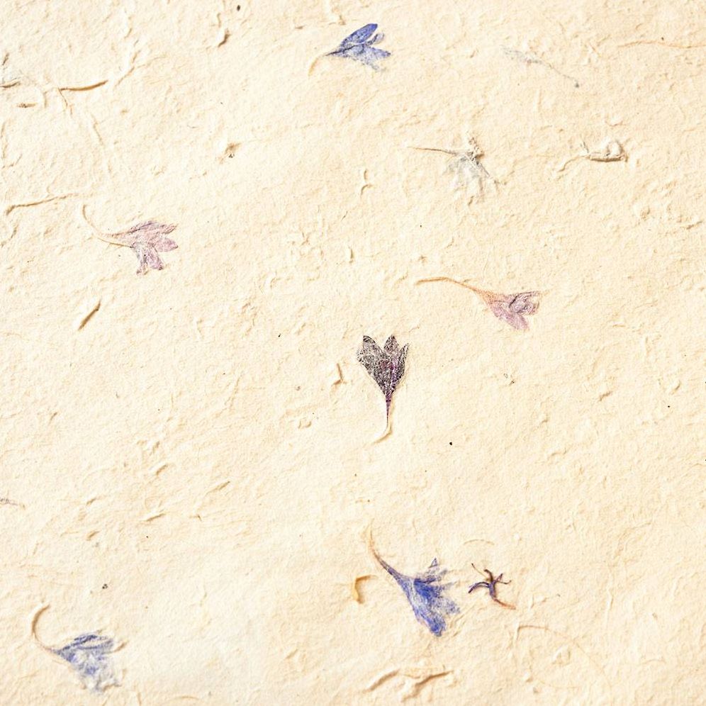 Pressed Blue Petal Handmade Paper