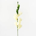 Ivory Multi-Bloom Paper Flower