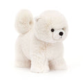 Daphne Pomeranian Plush - In Store Exclusive