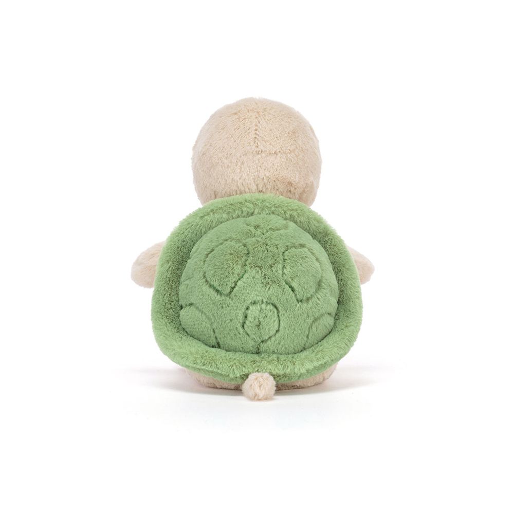 Thimble Turtle
