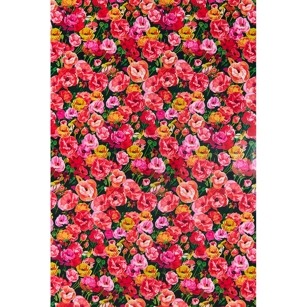 Poppies Continuous Roll Wrap