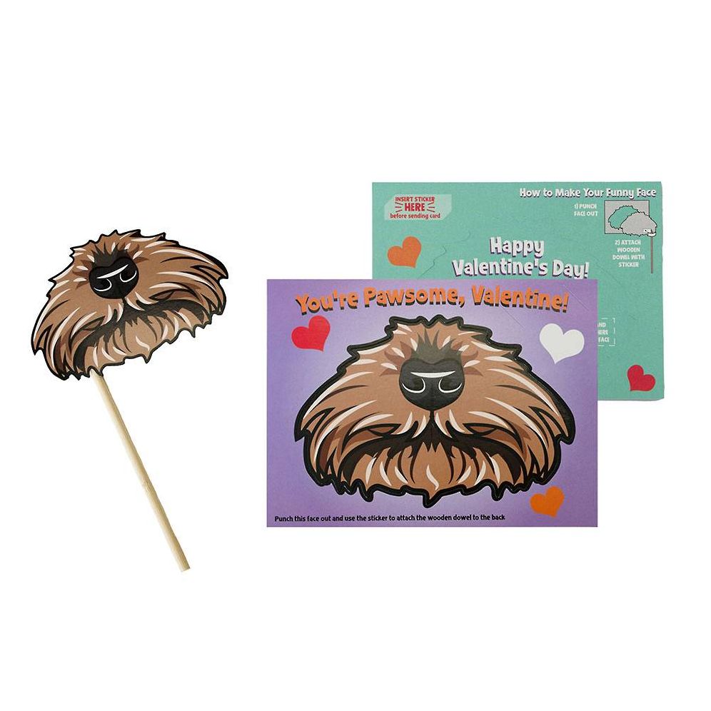 Funny Face Pet Mask Valentine Card Set