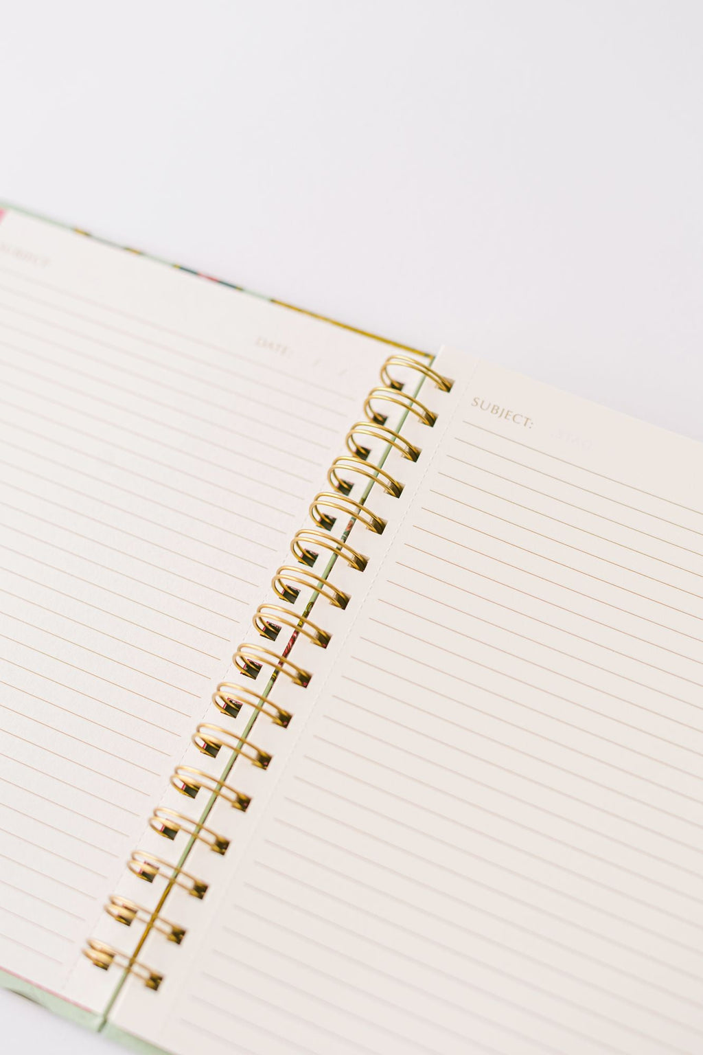 Mouse Cameo Spiral Notebook
