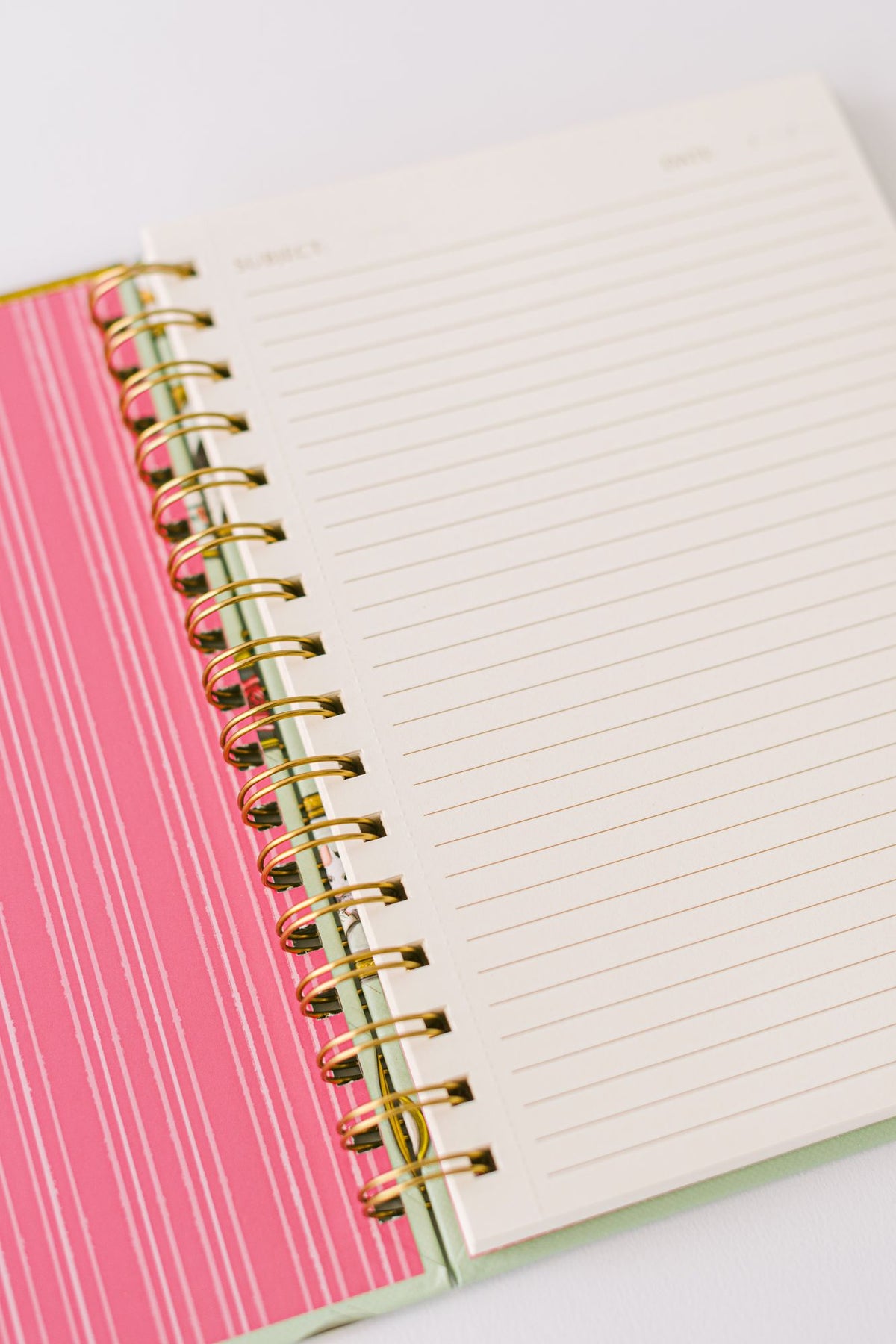 Mouse Cameo Spiral Notebook