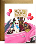 Get in Birthday Babe Birthday Card