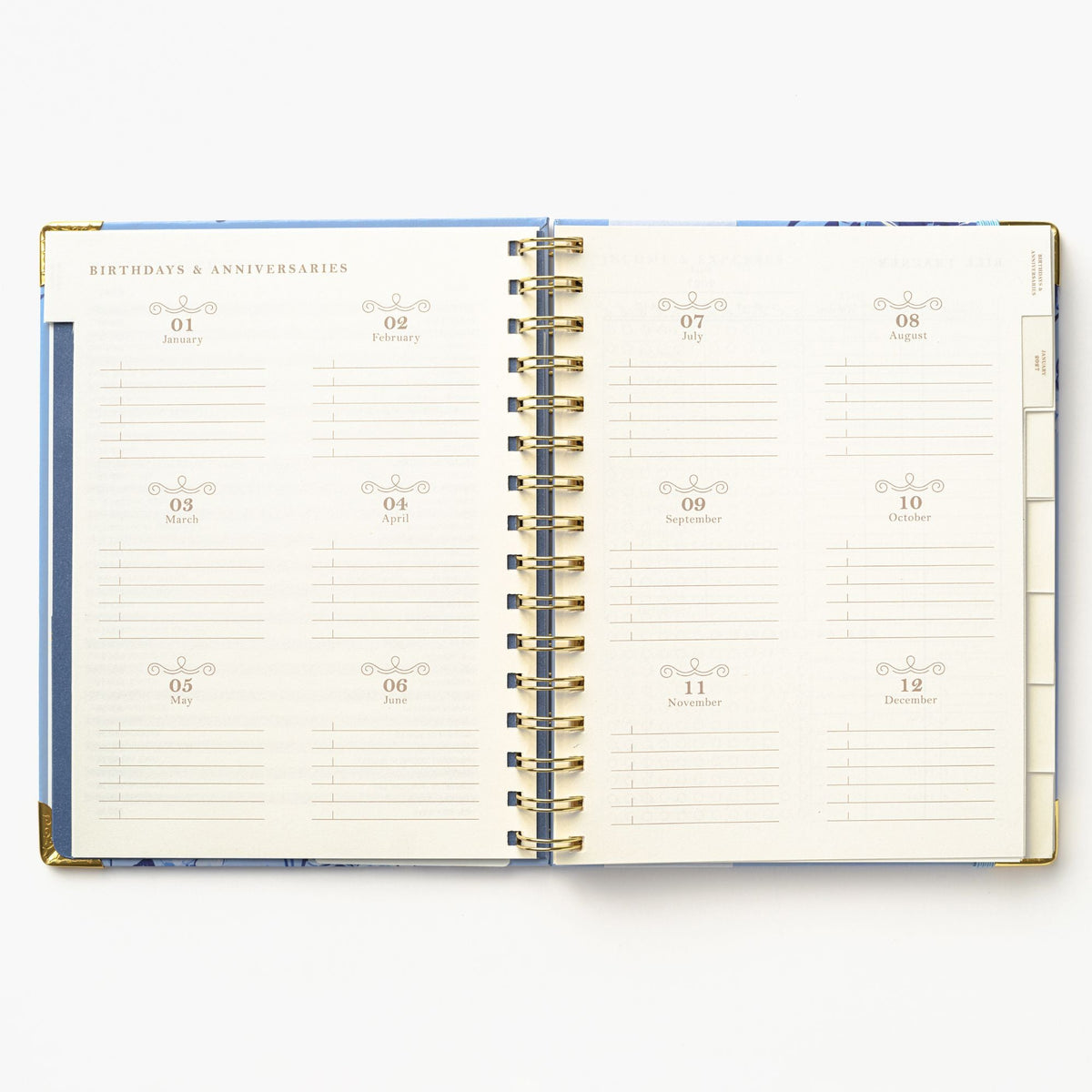 2027 Blue Toile Bird 12-Month Weekly Medium Spiral Planner