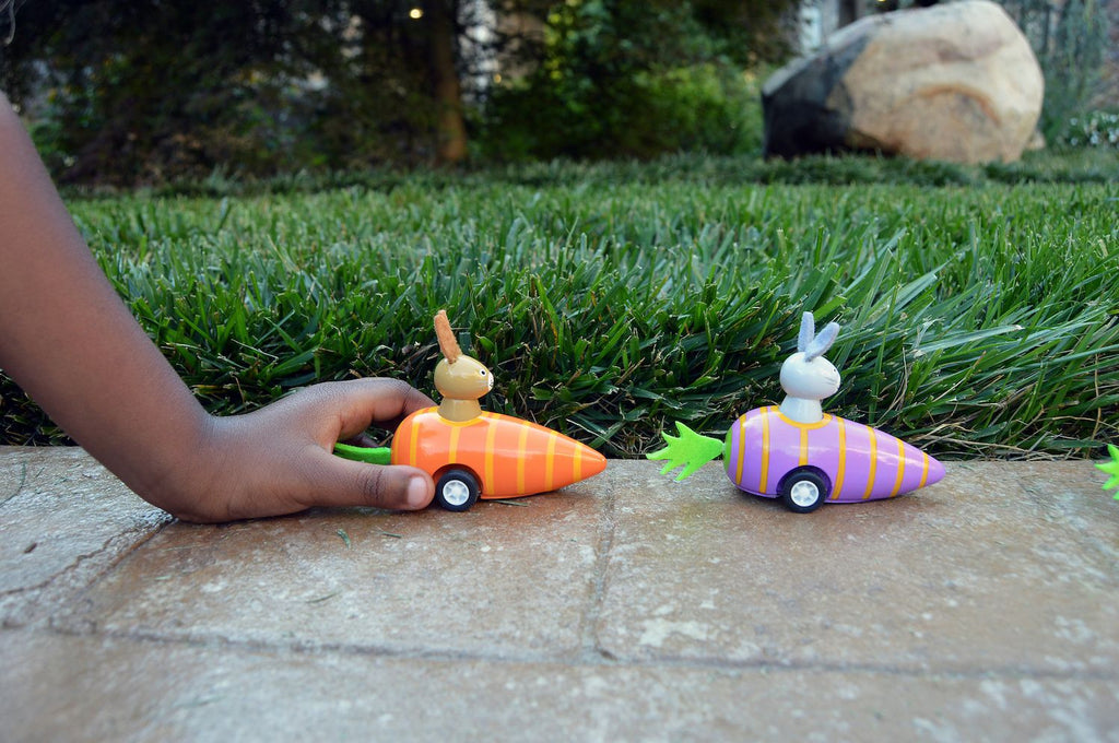 Bunny in Carrot Pullback Toy