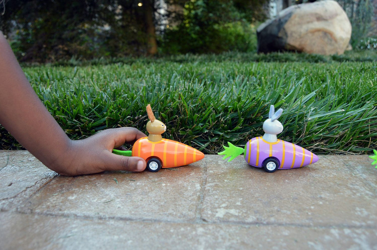 Bunny in Carrot Pullback Toy