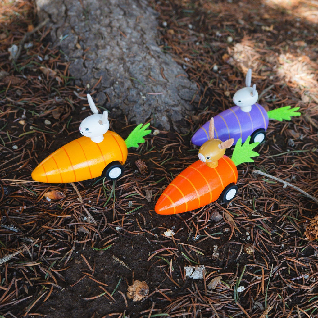 Bunny in Carrot Pullback Toy