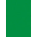 Kelly Green Tissue Paper
