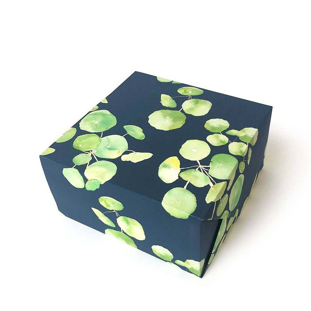 Pilea Plant Flat Wrap