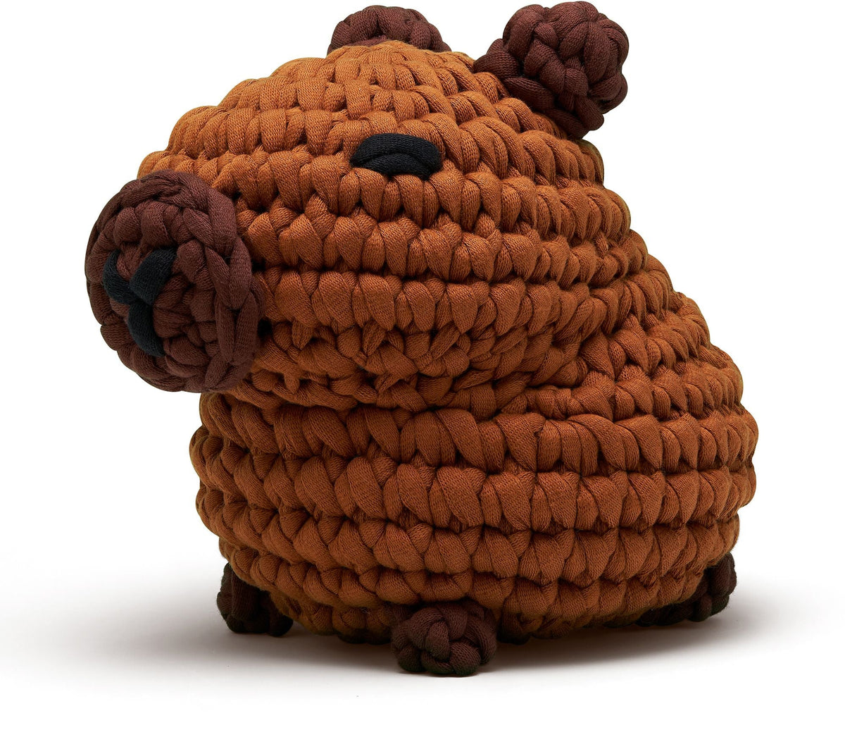 Hugh the Capybara Extra Squeezy Learn to Crochet Kit