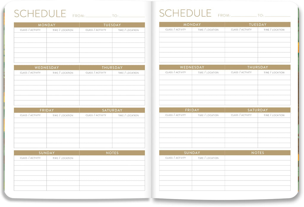 2026-2027 On the Bright Side Mediterranean Cats 17 Month Softcover Monthly Planner