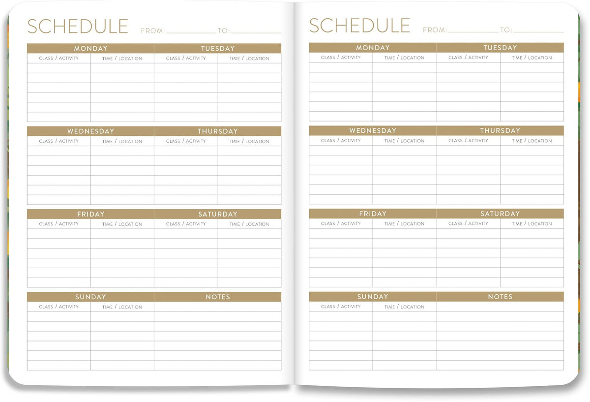 2026-2027 On the Bright Side Mediterranean Cats 17 Month Softcover Monthly Planner