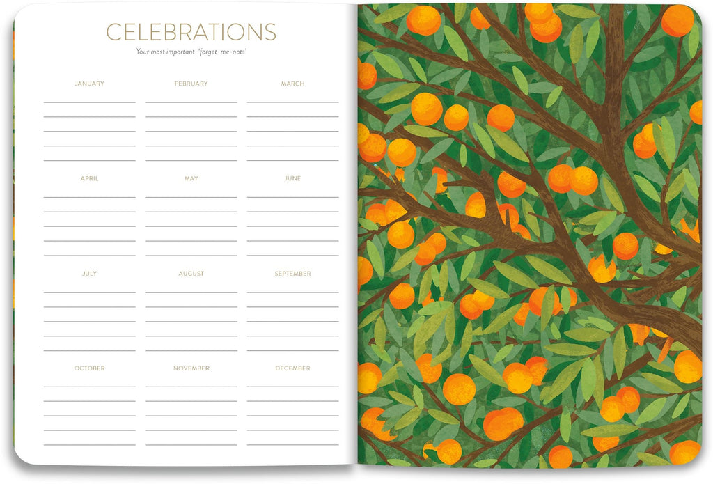 2026-2027 On the Bright Side Mediterranean Cats 17 Month Softcover Monthly Planner