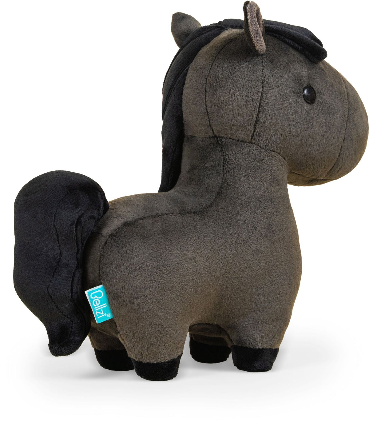 Friesian the Horse