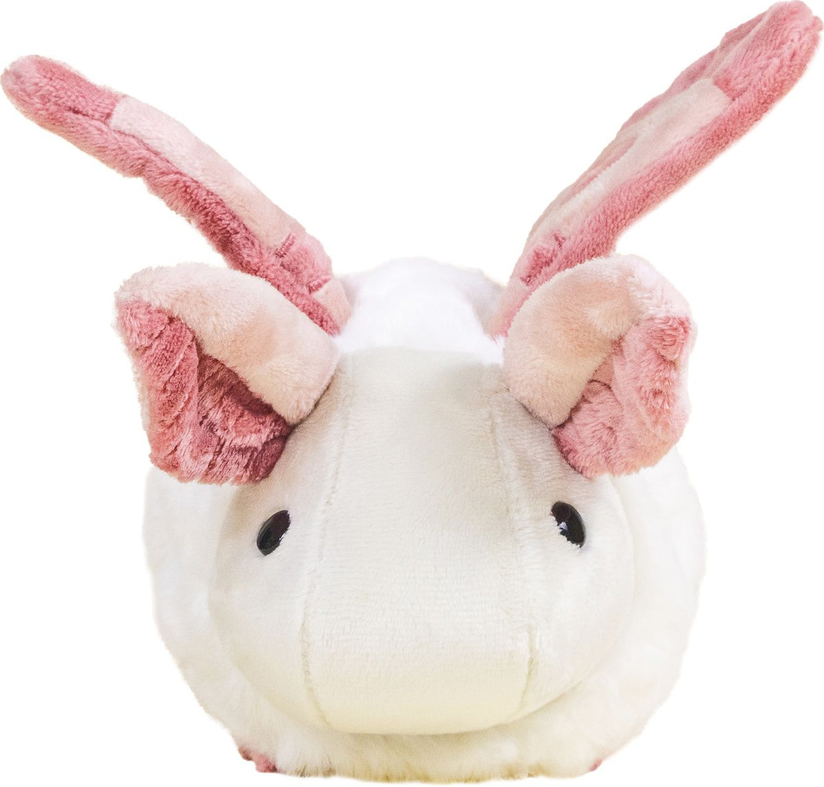 Mini Mothi the Moth