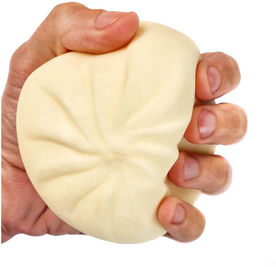 Squishy Dumpling