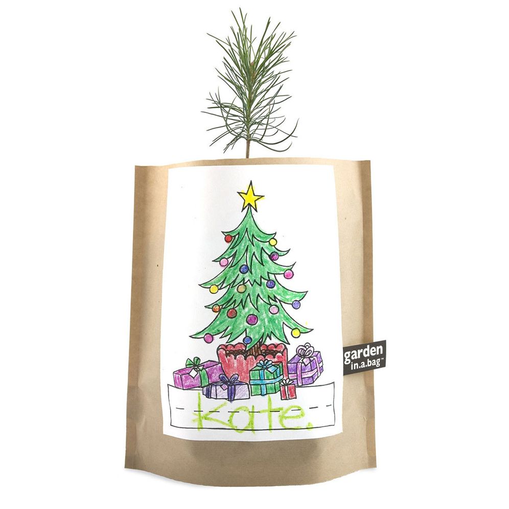 Garden in a Bag Grow Kit