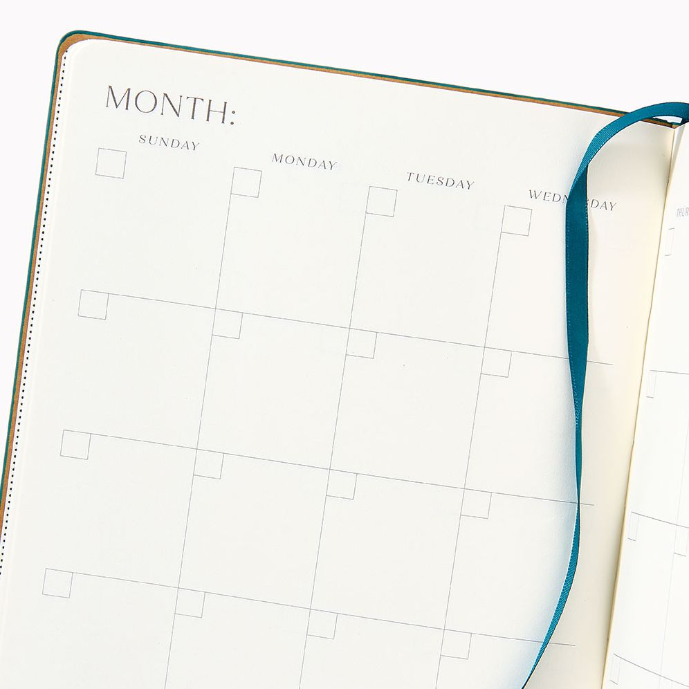 Chocolate Paper Wasp LG Undated Planner