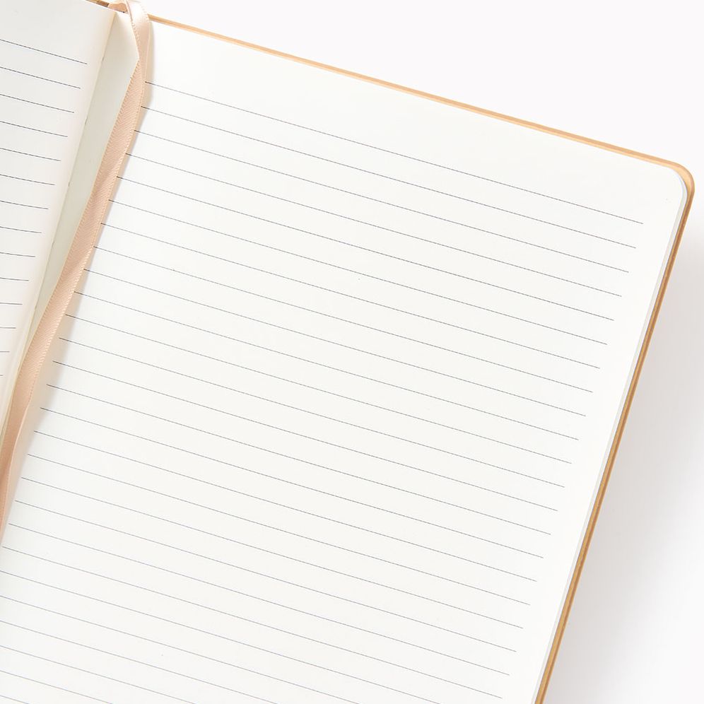 Choc Stripe Paper Wasp LG Lined Journal