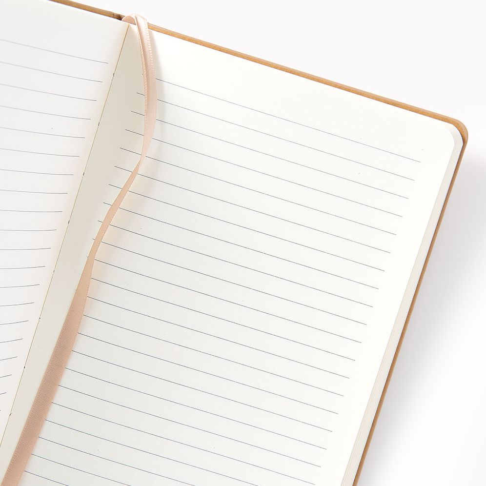 Sand Paper Wasp Med Lined Journal