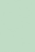 Mint Tissue Paper