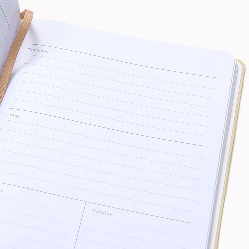 Tapioca Paper Wasp Undated Planner LG
