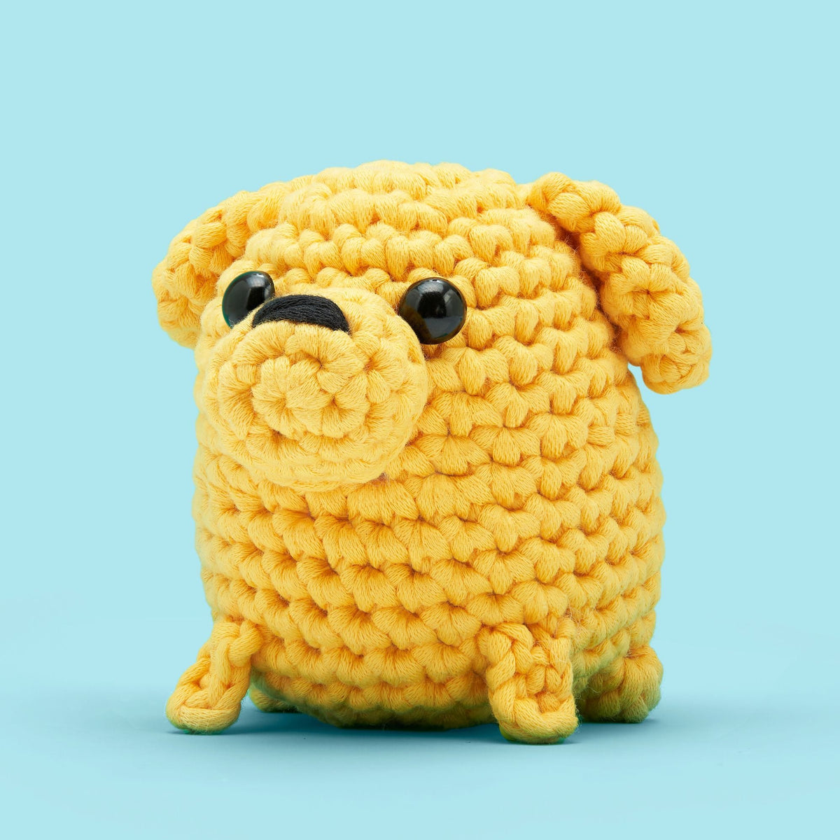 Buster the Labrador Learn to Crochet kit