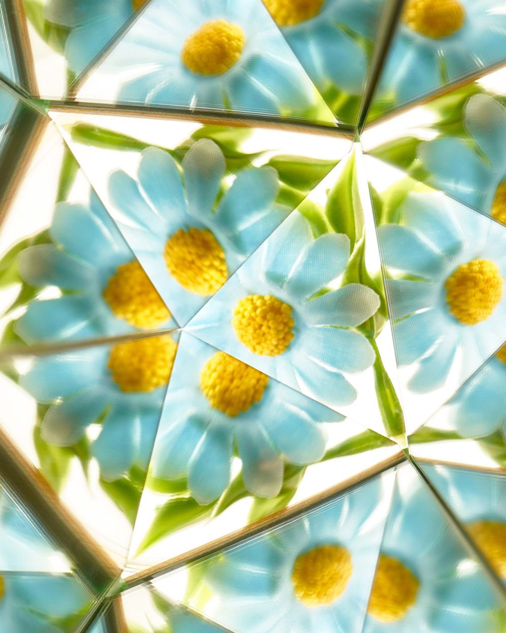 Nature Kaleidoscope Set