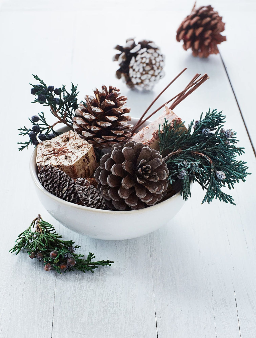 Roland Pine 12 oz Potpourri