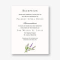 English Lavender Information Card